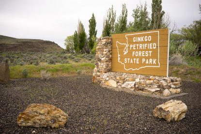 Ginko Petrified Forest State Park Washington